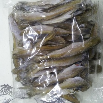 용궁수산[kijang.kr]기장특산품 노가리(400g)용궁수산건어물해초 > 쥐치포,명태알포